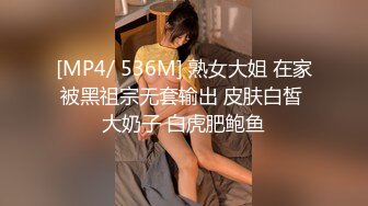 [MP4/ 833M] 公司聚会送喝醉的美女同事回家摸摸奶玩玩B没敢操