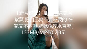 【三级】《绝色女仆小姐姐》