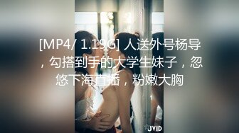 白虎少女福利姬- 小金鱼 [私家女仆] 破洞黑丝美鲍诱惑 附视2V [62P/1.9G]