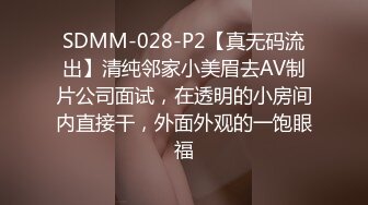 SDMM-028-P2【真无码流出】清纯邻家小美眉去AV制片公司面试，在透明的小房间内直接干，外面外观的一饱眼福