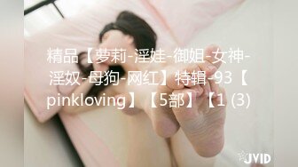 精品【萝莉-淫娃-御姐-女神-淫奴-母狗-网红】特辑-93【pinkloving】【5部】【1 (3)