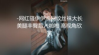 -网红骚伊伊渔网纹丝袜大长美腿丰臀后入啪啪 高视角欣赏