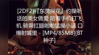 诱惑美图MC25V 精品 美女摄影写真[324P+25V/238M]