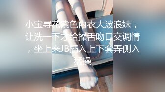 [高清中文字幕]HND-333 愛犬美人篠田步美喜歡像狗一樣被人在體內射精