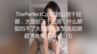 ThePerfectCpl爬到山顶干屁眼，大雪纷飞干屁眼，什么都阻挡不了大屌男干女朋友屁眼超清合集【28v】 (3)