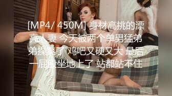 老婆的多人游戏第五部