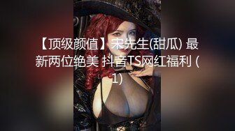 【顶级颜值】宋先生(甜瓜) 最新两位绝美 抖音TS网红福利 (1)