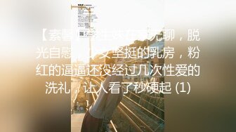 降温户外遛狗，纠正姿势，狗有狗样