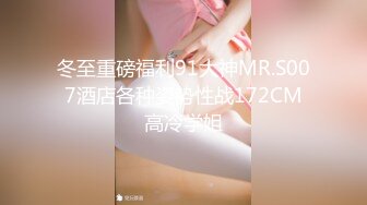 冬至重磅福利91大神MR.S007酒店各种姿势性战172CM高冷学姐