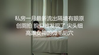 私房一月最新流出隔墙有眼原创厕拍 貌似被发现了 尖头细高跟女神的微毛肥穴