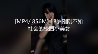 [MP4/ 932M]&nbsp;&nbsp;极品尤物模特女神！性感美腿吊带丝袜！特写吸吮舔屌，主动骑乘位抽插