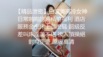 假面舞团极品身材美乳性感御姐76号加密版，各种情趣露奶露逼劲曲扭腰顶胯各种挑逗，撸点很高 (3)