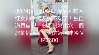 [MP4]STP30442 极品尤物网红女神！炮友操不动了！独自道具自慰，多毛粉嫩小穴，假屌抽插猛捅，爽的娇喘呻吟 VIP0600