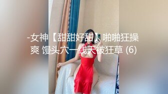 [MP4/334MB]云盘泄密 口活不错的黑丝淫浪美女小姐姐，表里不一极度反差