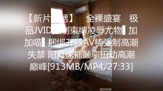 安防精品尤物系列-可以媲美一线当红女明星了5V[某房原版] (4)