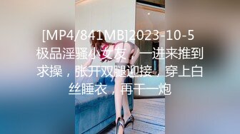 [MP4]国产AV 麻豆传媒 MDX0261 骑上反差黑丝婊 苏念瑾