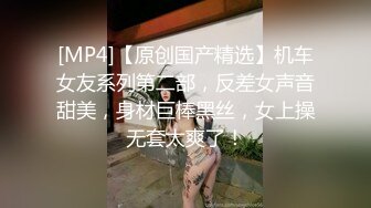 [MP4]约操小少妇 巨乳风骚 摇着鸡巴调情聊天 硬了直接上马进洞干起来