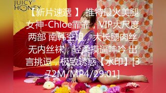 【新片速遞 】 推特最火美腿女神-Chloe霏霏，VIP大尺度两部 南韩空姐，大长腿肉丝无内丝袜，轻柔摸逼呻吟 出言挑逗，极致诱惑【水印】[372M/MP4/29:01]