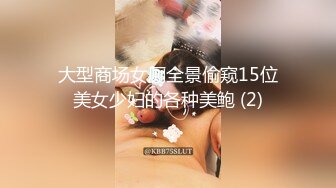 大型商场女厕全景偷窥15位美女少妇的各种美鲍 (2)