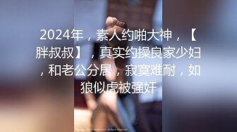 国产AV 蜜桃影像传媒 PMD003 三亚企划 特别专访 辉月杏梨