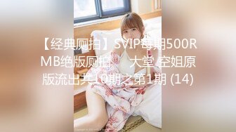 【经典厕拍】SVIP每期500RMB绝版厕拍❤️大堂 空姐原版流出共10期之第1期 (14)