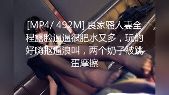 [MP4/ 492M] 良家骚人妻全程露脸逼逼很肥水又多，玩的好嗨抠逼浪叫，两个奶子被跳蛋摩擦