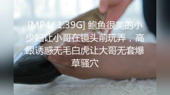 妻の淫らな秘密 ～夫妇の愉しみ～ 莲実クレア、息子の嫁 ～美人妻、淫靡な秘蜜～ 友田彩也香