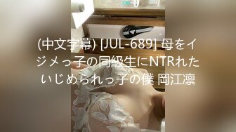 チ○ポ・トレナージュ ～男性机能回复マッサージ