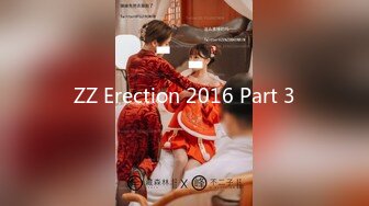 ZZ Erection 2016 Part 3