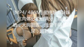 经典流出高级商场厕所TP美女系列2