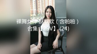 208_(sex)20230730_聖鬥士卡車abaa