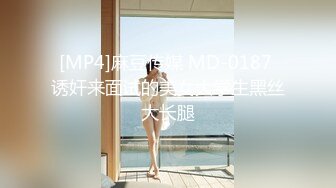 国产麻豆AV MDX MDX0096 深夜加班的女友 林思妤