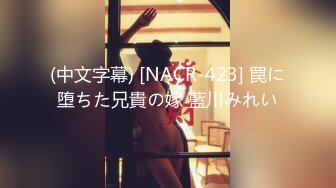 (中文字幕) [NACR-423] 罠に堕ちた兄貴の嫁 藍川みれい