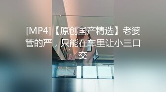 无码高清不卡