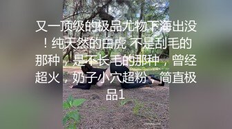 【母狗性奴】巨乳模特沦为母狗，捆绑调教，乳夹抽打，一脸淫贱