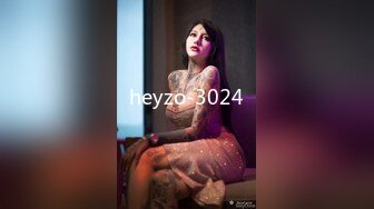 heyzo-3024