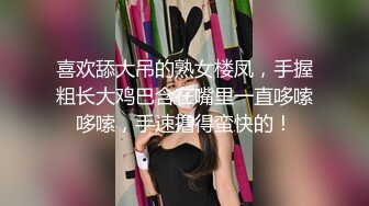 推特新人极品长腿苗条烧婊子【橙子橙子】VIP福利私拍，丝袜塞逼道具疯狂紫薇高潮流水，特写镜头视觉盛宴 (2)