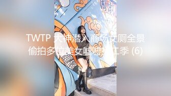 TWTP 大神潜入商场女厕全景偷拍多位美女嘘嘘第二季 (6)