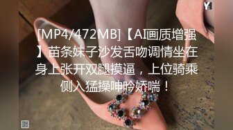 [MP4]STP31767 爱豆传媒 ID5333 夏日旅行和熟女老板粽情端午 吴芳宜(黎芷萱) VIP0600