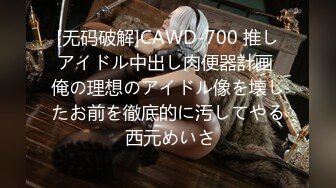 【肉感ボディがそそる20歳ラウンジ嬢と中出しSEX】Hが大好きなエロポテンシャル高めの美女とハメ撮り！露出度が高い魅惑の装いで登场したエリカ様は初めて会った人でも中出しOKしちゃうほどのヤリマンだけど膣圧はキツマンのえろマンだった！有り余る性欲で2回戦目はコスプレSEXに挑戦！オイルまみれのおっぱい