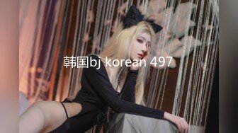 韩国bj korean 497