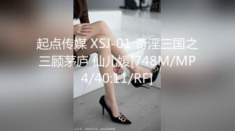 起点传媒 XSJ-01 奇淫三国之三顾茅庐 仙儿媛[748M/MP4/40:11/RF]