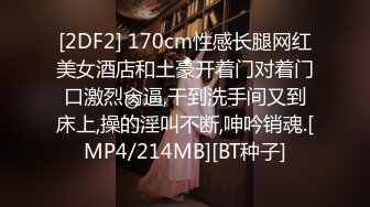 麻豆联合爱豆出品 MAD-033《后宫秘密》满庭春风御花园 美臀女神 陶子