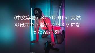 (中文字幕) [ROYD-015] 突然の豪雨で下着がスケスケになった家庭教师