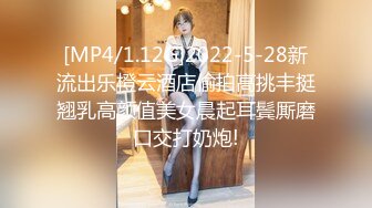 葫芦影业 HLW010 COSER女友爆操日