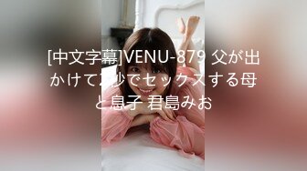 [中文字幕]VENU-879 父が出かけて2秒でセックスする母と息子 君島みお