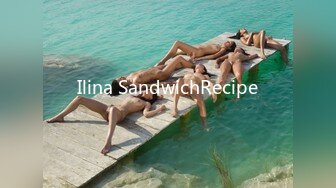 Ilina SandwichRecipe